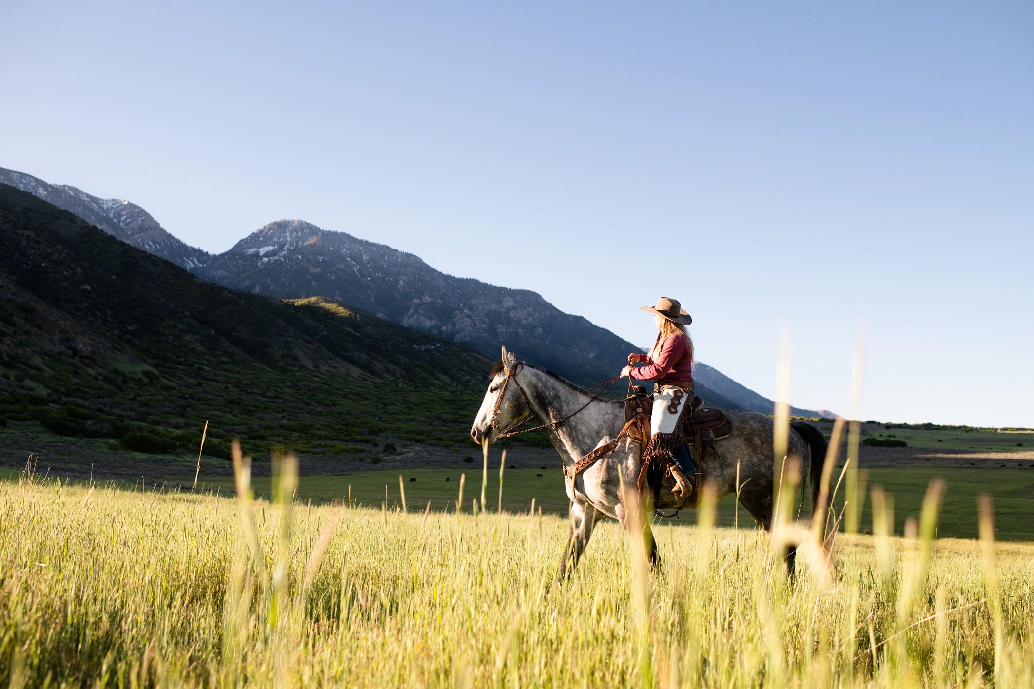 Rider on horseback in a valley during early morning light