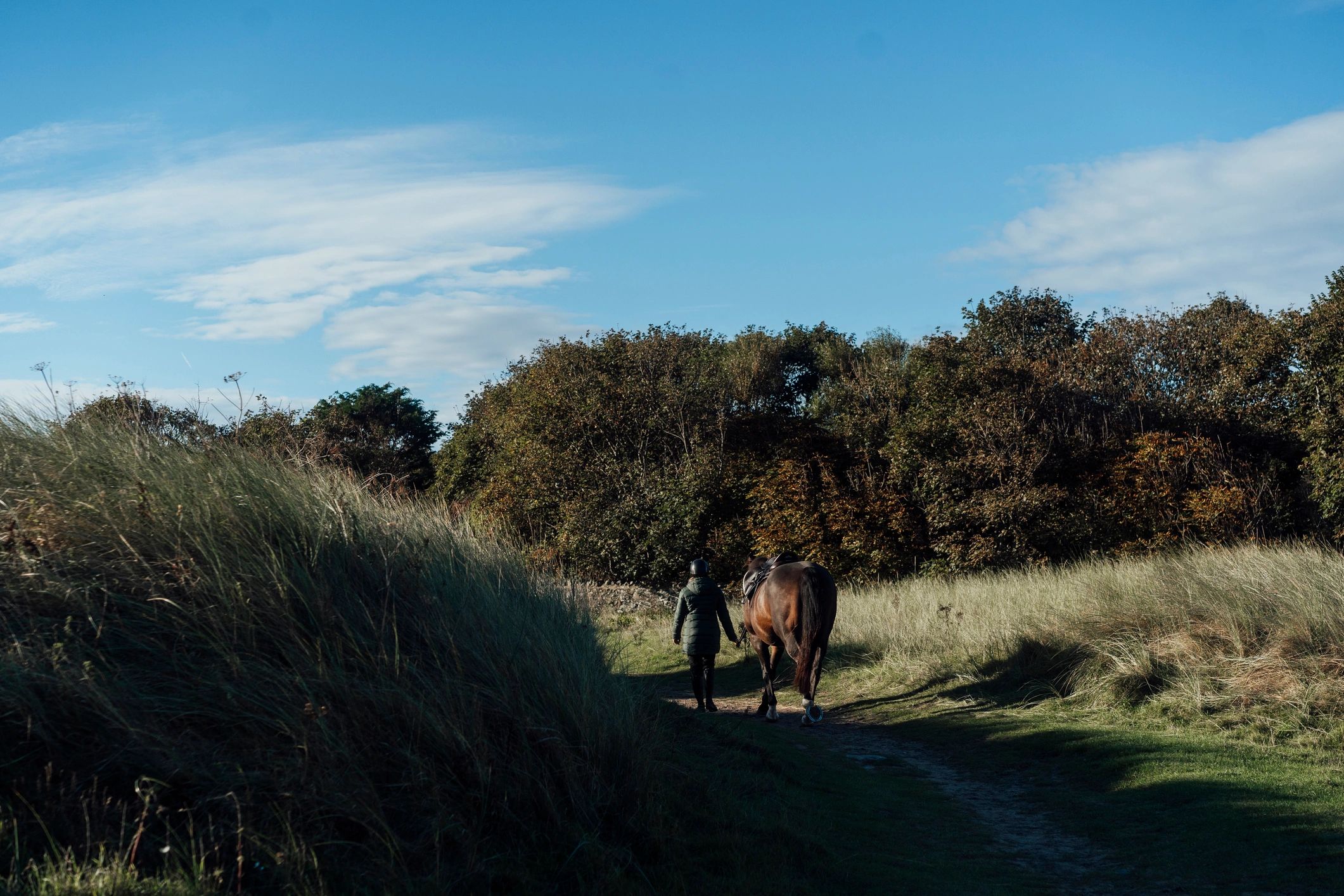 Horseback rider moving through open grassy country
