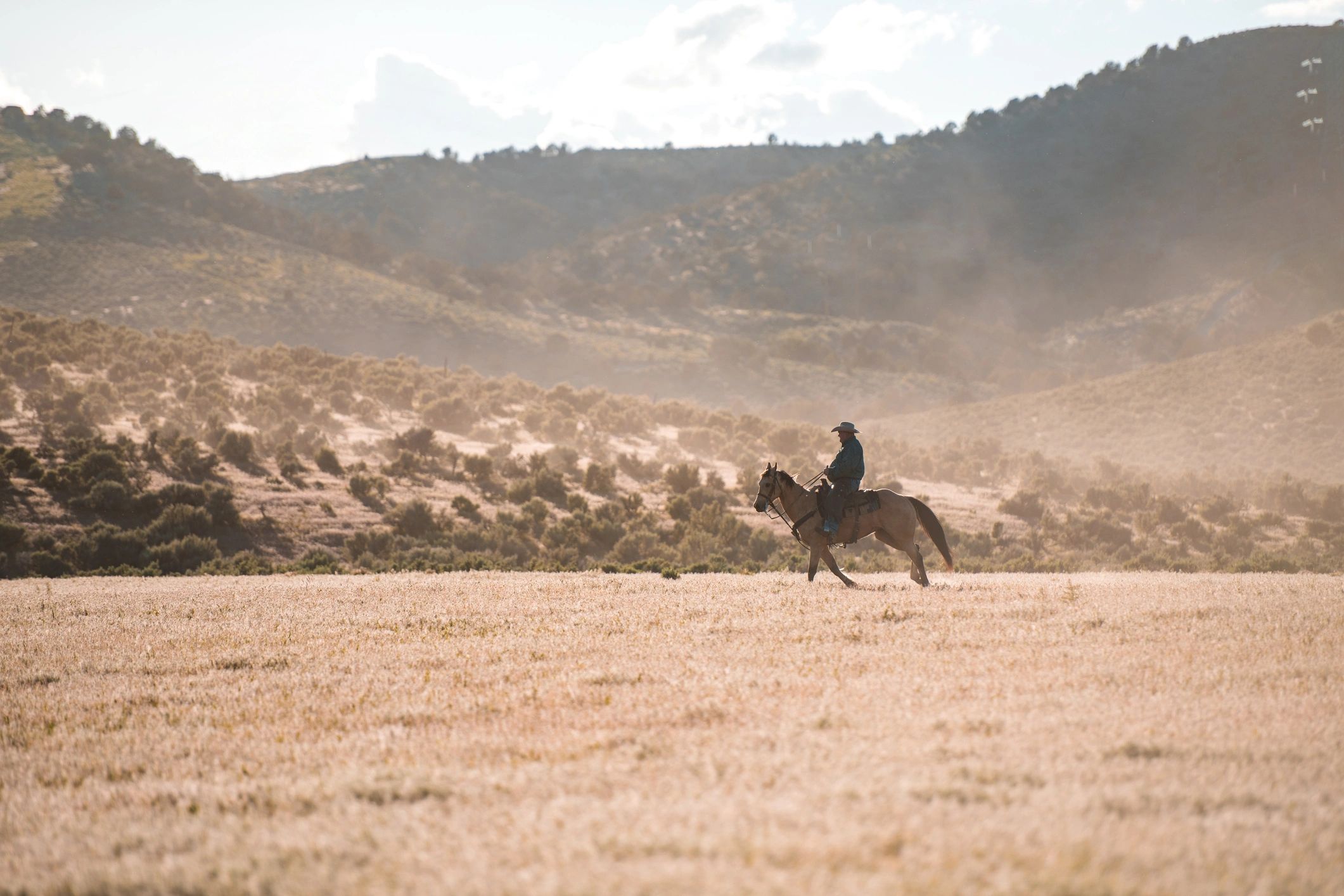 Horseback rider crossing open country