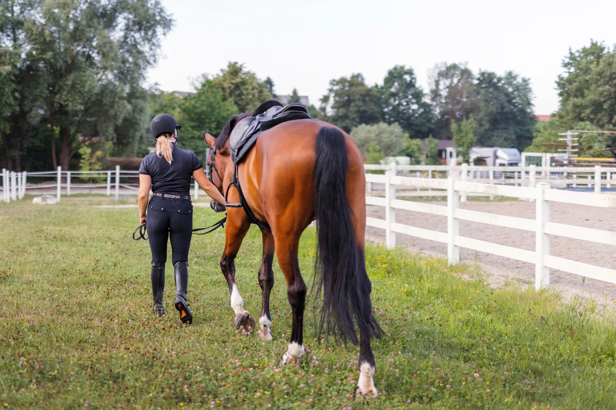 Rider leading a saddled horse along the trail