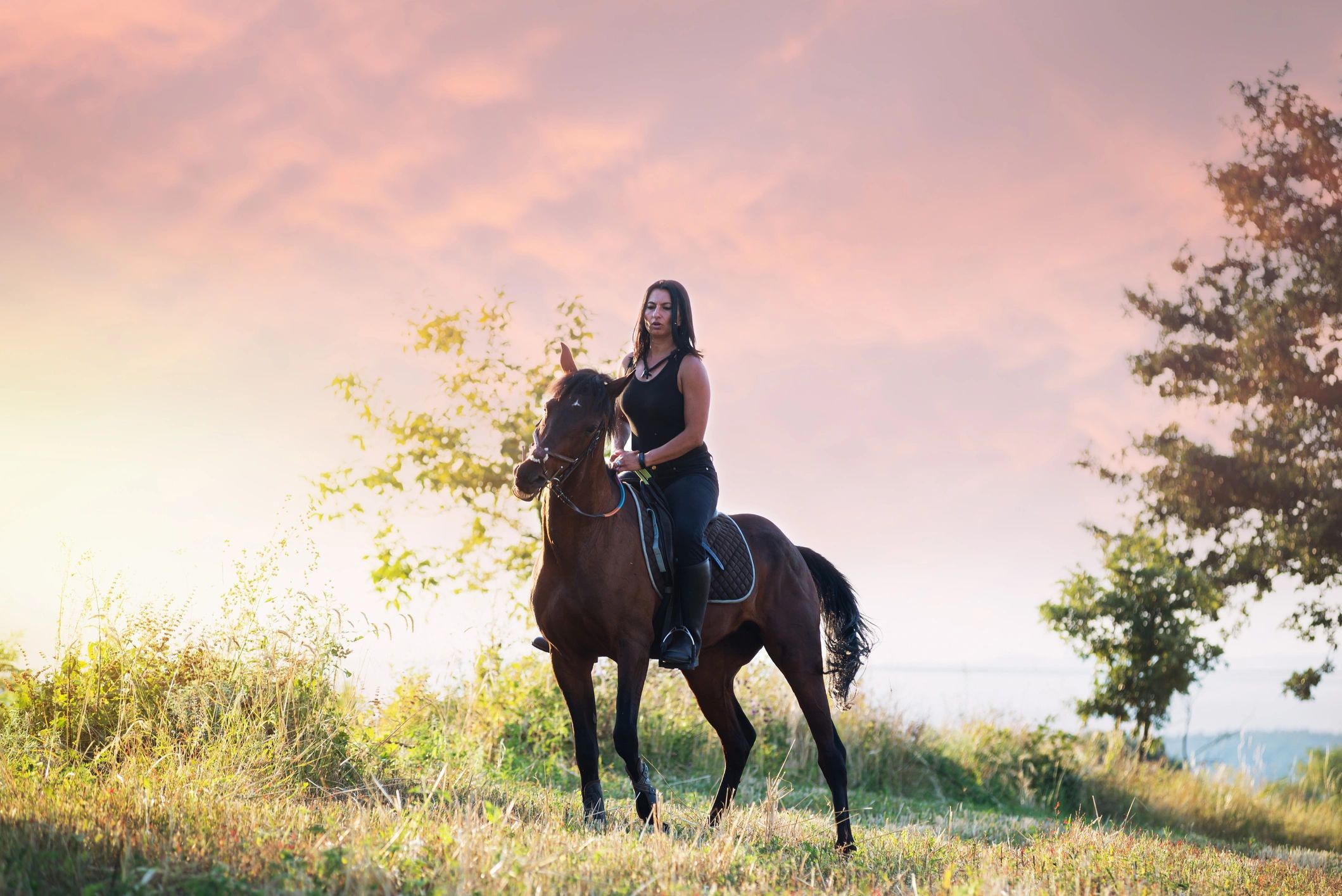 Horseback rider at sunset